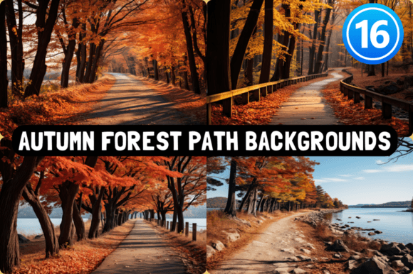 Autumn Forest Path Backgrounds for Visual Design