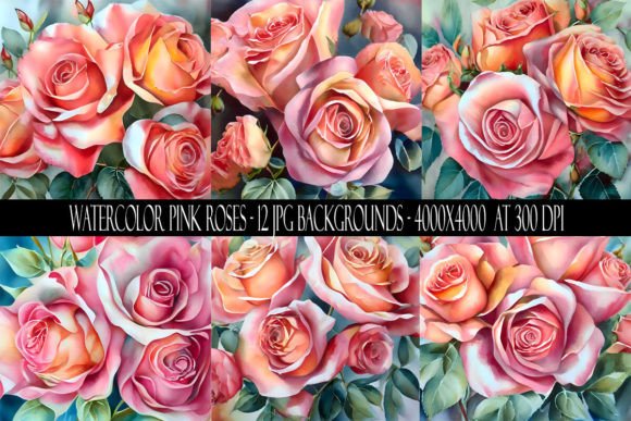 Watercolor Pink Rose Backgrounds for Creative Projects
